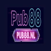 PUB88