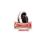 congadenautostructiepdaga