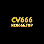 cv666top