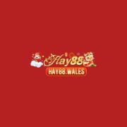 hay88wales