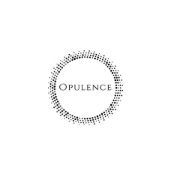 Opulence Chicago LLC