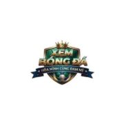 xembongda lytuongnet