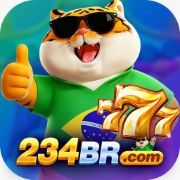 234br org