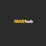 Fake Hub series