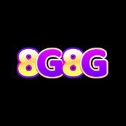 8G 8G