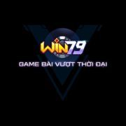 win79vision1