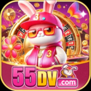 55dv