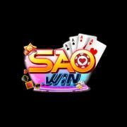 SAOWIN