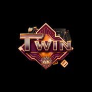 twin68gbnet