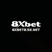 8XBET