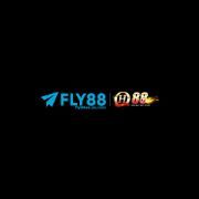 Fly88ae us com