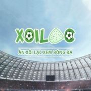 Xoilac Z Trực Tiếp Bóng Đá