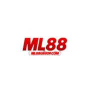 ml88groupcom