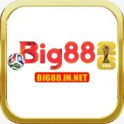 Big88 innet