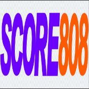 score808goaltop