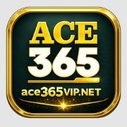 ace365vip net