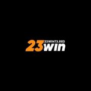23WIN