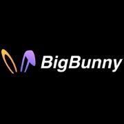 BIGBUNNY 8net