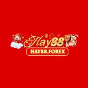 hay88forex