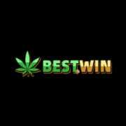 BestWin Casino | Online Slots Sports & 4D Result Malaysia