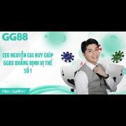 ceo nguyễn gia huy