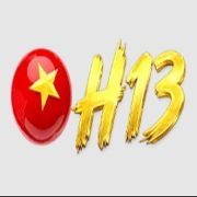 H13