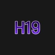 H19