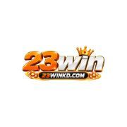 23Winkdcom1