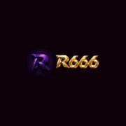 R666