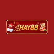 Hay88black