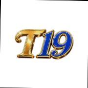 T19