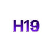 H19