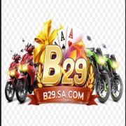 B29 SA
