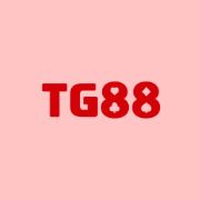 Tg888bbcom