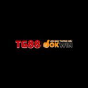 Tg88vn1 club