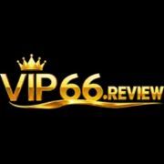 VIP66