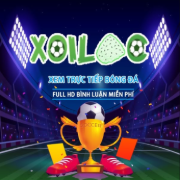 Xoilac 86 Trực Tiếp Bóng Đá